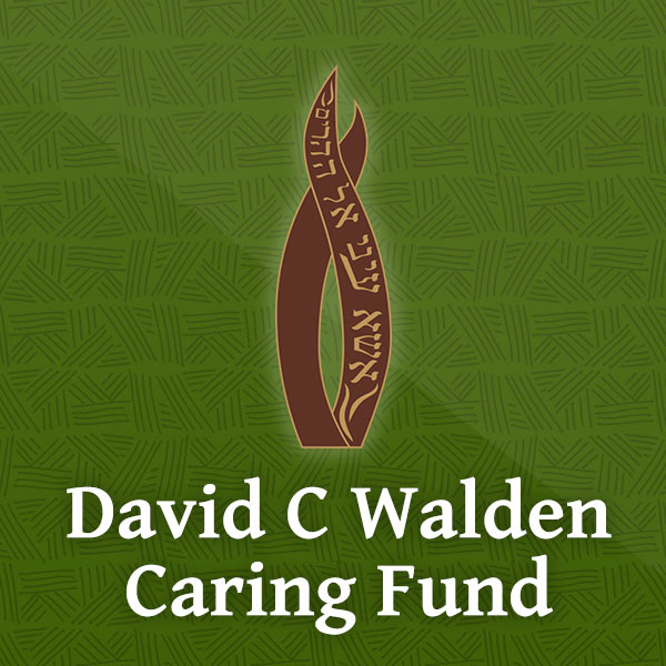 david c walden caring fund